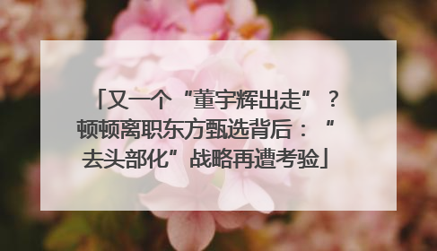 又一个“董宇辉出走”？顿顿离职东方甄选背后：“去头部化”战略再遭考验