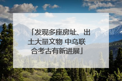 发现多座房址、出土大量文物 中乌联合考古有新进展