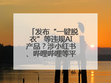 发布“一键脱衣”等违规AI产品？涉小红书、哔哩哔哩等平台！上海出手