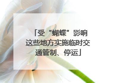 受“蝴蝶”影响 这些地方实施临时交通管制、停运