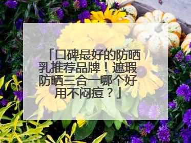 口碑最好的防晒乳推荐品牌！遮瑕防晒三合一哪个好用不闷痘？