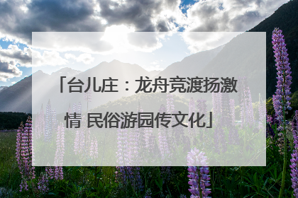台儿庄：龙舟竞渡扬激情 民俗游园传文化