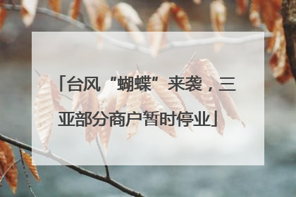 台风“蝴蝶”来袭，三亚部分商户暂时停业