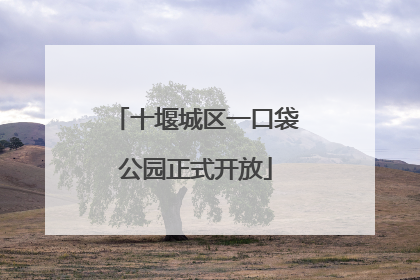十堰城区一口袋公园正式开放