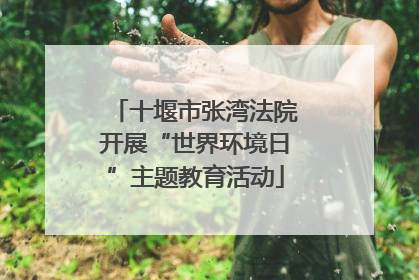 十堰市张湾法院开展“世界环境日”主题教育活动