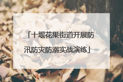 十堰花果街道开展防汛防灾防溺实战演练