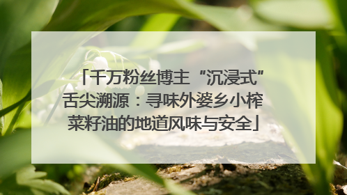 千万粉丝博主“沉浸式”舌尖溯源：寻味外婆乡小榨菜籽油的地道风味与安全