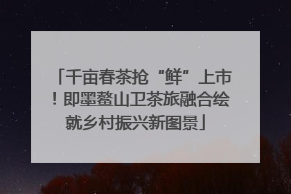 千亩春茶抢“鲜”上市！即墨鳌山卫茶旅融合绘就乡村振兴新图景
