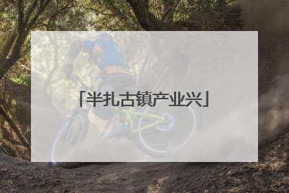 半扎古镇产业兴