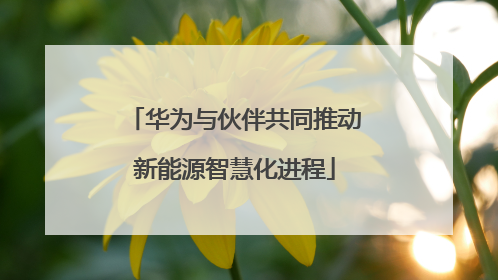 华为与伙伴共同推动新能源智慧化进程