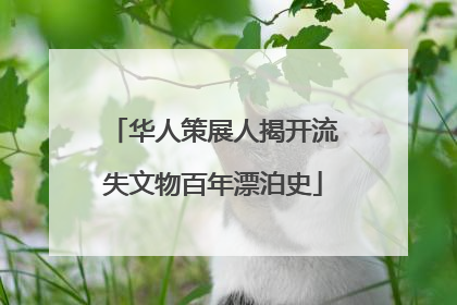 华人策展人揭开流失文物百年漂泊史