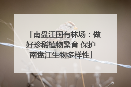 南盘江国有林场：做好珍稀植物繁育 保护南盘江生物多样性