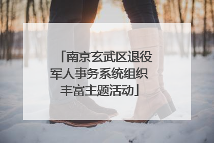 南京玄武区退役军人事务系统组织丰富主题活动
