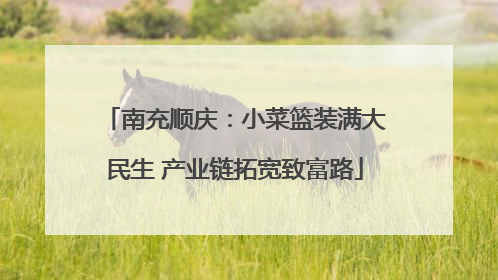 南充顺庆：小菜篮装满大民生 产业链拓宽致富路