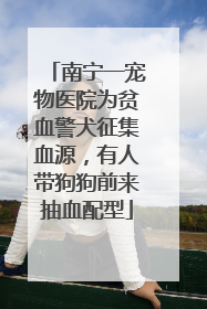 南宁一宠物医院为贫血警犬征集血源，有人带狗狗前来抽血配型