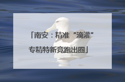 南安：精准“滴灌”专精特新竞跑出圈