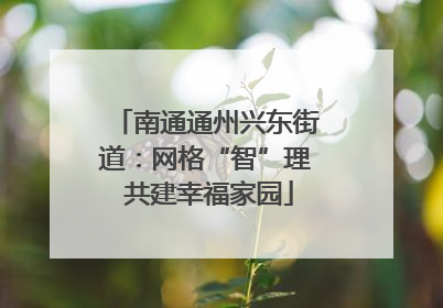 南通通州兴东街道：网格“智”理 共建幸福家园