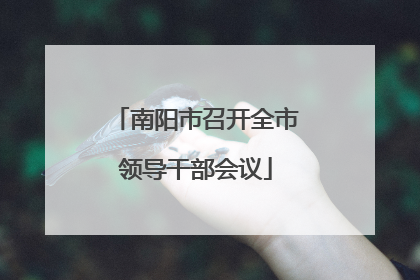 南阳市召开全市领导干部会议
