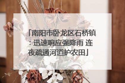 南阳市卧龙区石桥镇：迅速响应强降雨 连夜疏通河道护农田