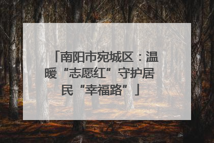 南阳市宛城区：温暖“志愿红”守护居民“幸福路”