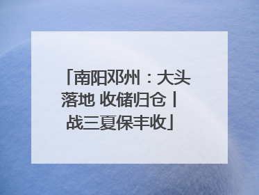 南阳邓州：大头落地 收储归仓丨战三夏保丰收