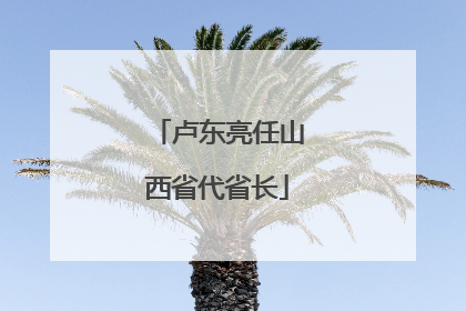 卢东亮任山西省代省长