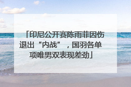 印尼公开赛陈雨菲因伤退出“内战”，国羽各单项唯男双表现差劲