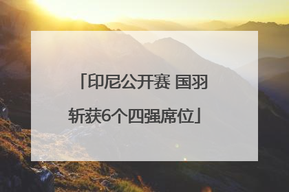 印尼公开赛 国羽斩获6个四强席位