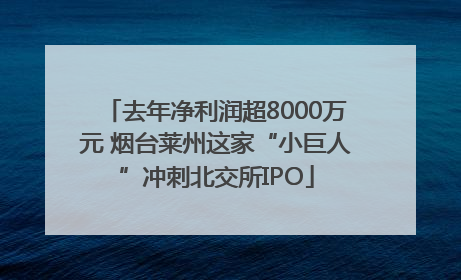 去年净利润超8000万元 烟台莱州这家“小巨人”冲刺北交所IPO