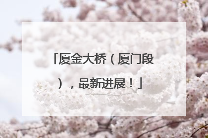 厦金大桥（厦门段），最新进展！