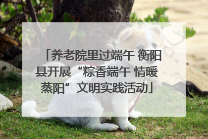 养老院里过端午 衡阳县开展“粽香端午 情暖蒸阳”文明实践活动
