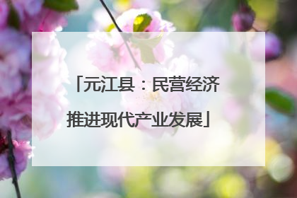 元江县：民营经济推进现代产业发展