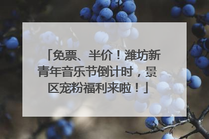 免票、半价！潍坊新青年音乐节倒计时，景区宠粉福利来啦！
