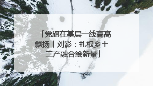 党旗在基层一线高高飘扬丨刘影：扎根乡土 三产融合绘新景