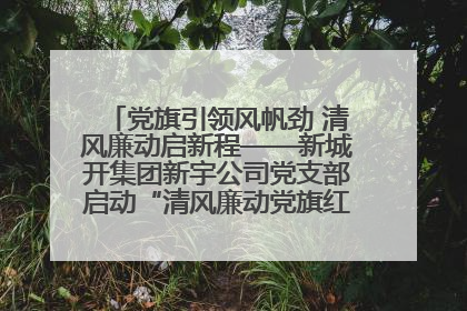 党旗引领风帆劲 清风廉动启新程——新城开集团新宇公司党支部启动“清风廉动党旗红”系列活动