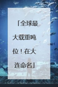 全球最大载重吨位！在大连命名