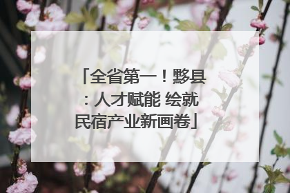 全省第一！黟县：人才赋能 绘就民宿产业新画卷