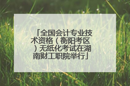 全国会计专业技术资格（衡阳考区）无纸化考试在湖南财工职院举行