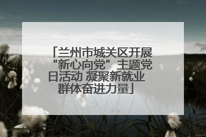 兰州市城关区开展“新心向党”主题党日活动 凝聚新就业群体奋进力量
