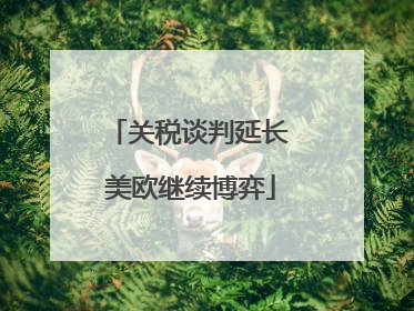 关税谈判延长 美欧继续博弈