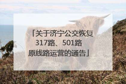 关于济宁公交恢复317路、501路原线路运营的通告