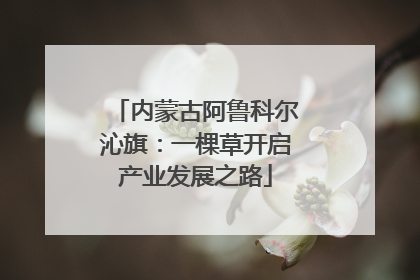 内蒙古阿鲁科尔沁旗：一棵草开启产业发展之路