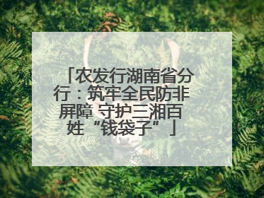 农发行湖南省分行：筑牢全民防非屏障 守护三湘百姓“钱袋子”