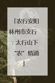 农行安阳林州市支行：太行山下“农”情涌