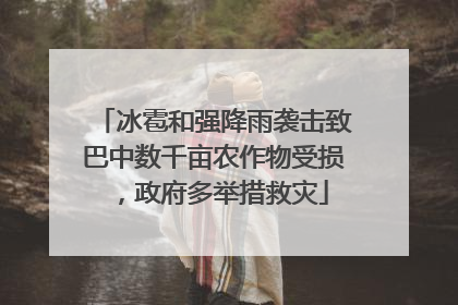 冰雹和强降雨袭击致巴中数千亩农作物受损，政府多举措救灾