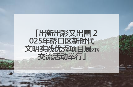 出新出彩又出圈 2025年硚口区新时代文明实践优秀项目展示交流活动举行