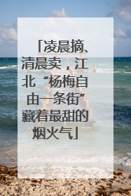 凌晨摘、清晨卖，江北“杨梅自由一条街”藏着最甜的烟火气