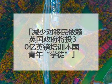 减少对移民依赖 英国政府将投30亿英镑培训本国青年“学徒”