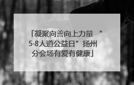 凝聚向善向上力量 “5·8人道公益日”扬州分会场有爱有健康