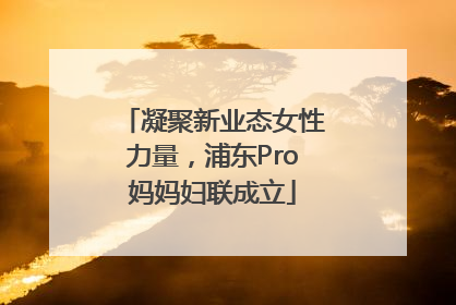 凝聚新业态女性力量，浦东Pro妈妈妇联成立